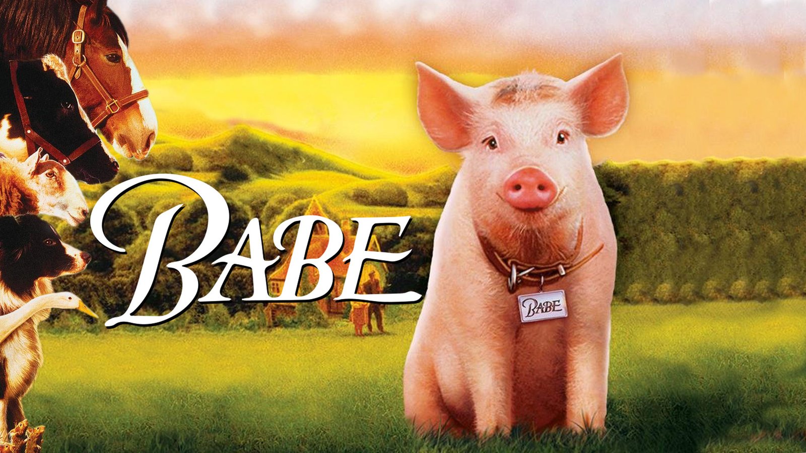 Babe: Pig in the City - VJ Emmy